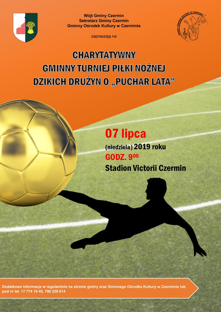 Charytatywny Gminny Turniej Piłki Nożnej Dzikich Drużyn o "PUCHAR LATA"